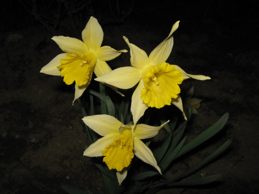 602848 (a): :1600x1200